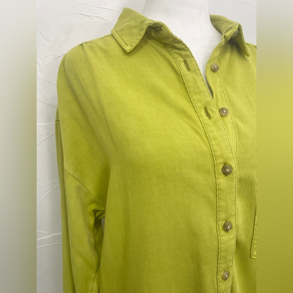 Pilcro The Bo Boyfriend Buttondown - Picture 6 of 12